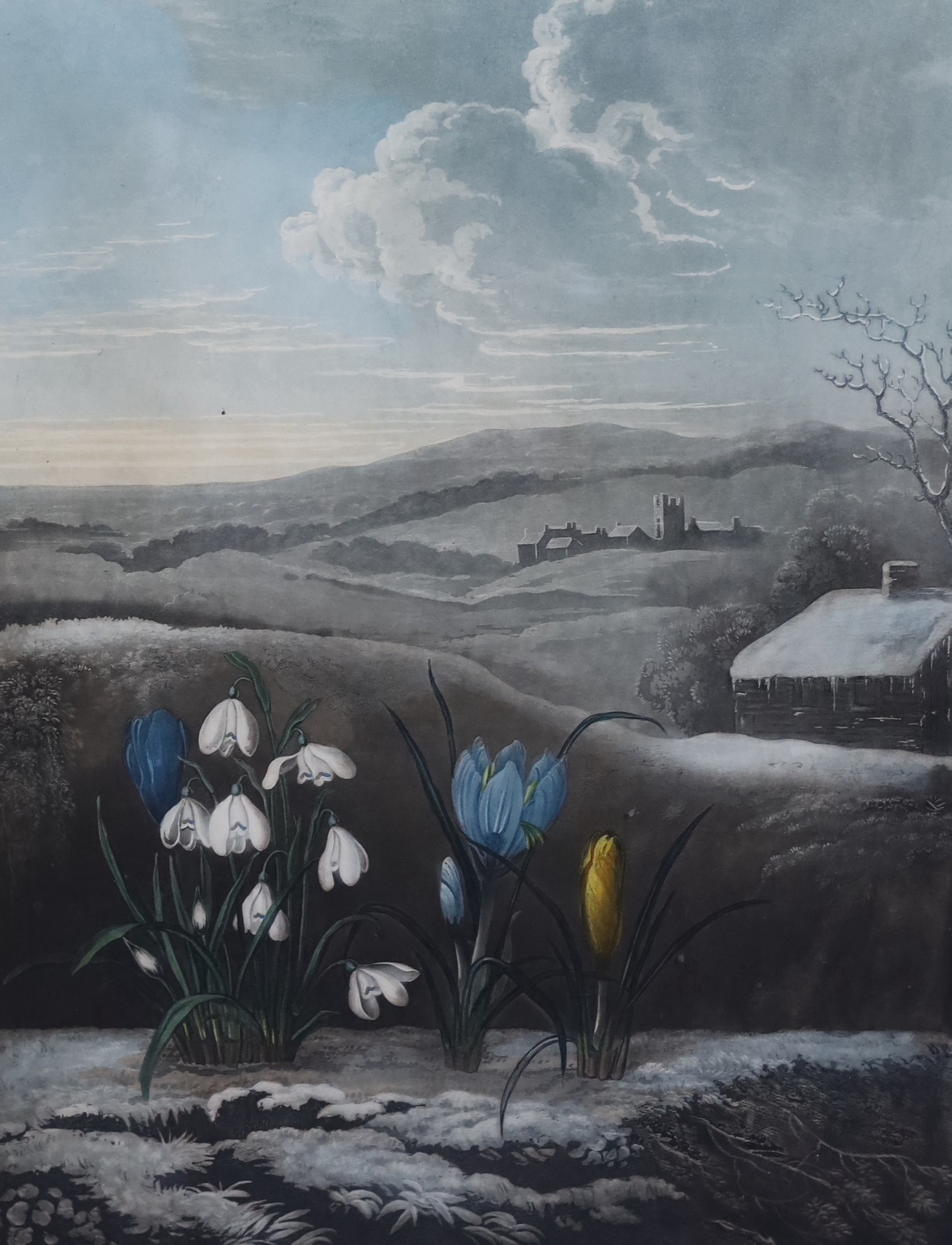 Dr Robert Thornton Publ., 'The Snowdrop' W.Ward after Pether, 1804, 'The Narrow-Leaved Kalmia', Caldwall after Reinagle, 1804 and 'The White Lily', Stadler after Henderson, 1800, three hand coloured aquatints, 50 x 37cm